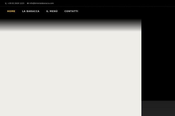 Pubzinne theme site design template sample