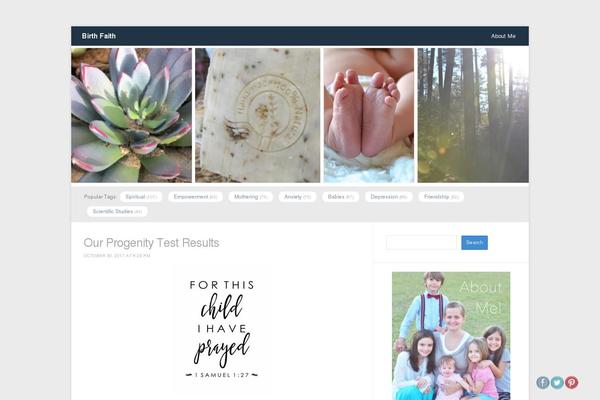 Site using WP Social Stats plugin