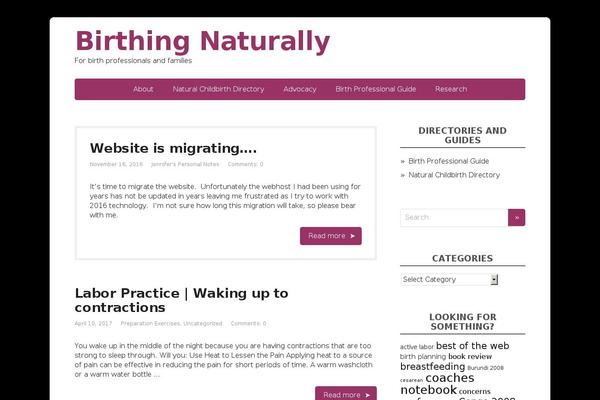 Site using Academic-bloggers-toolkit plugin