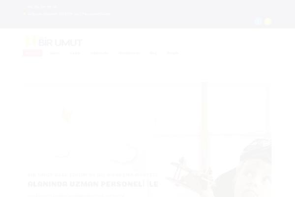 Kindori theme site design template sample