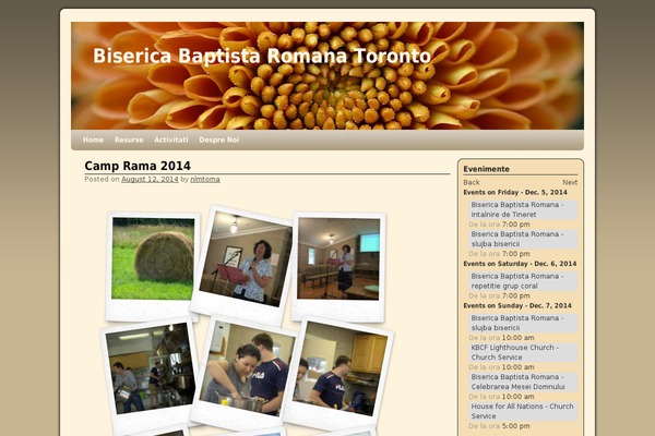 Weaver theme site design template sample