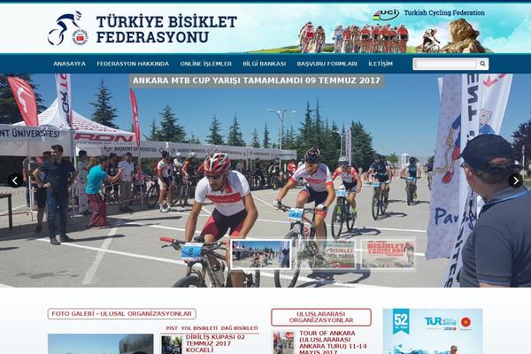 medanis theme websites examples