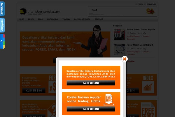 WP Opulus theme site design template sample