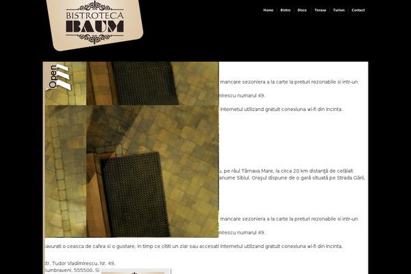 Modularity Lite theme site design template sample