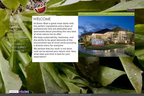Site using Video Embed & Thumbnail Generator plugin