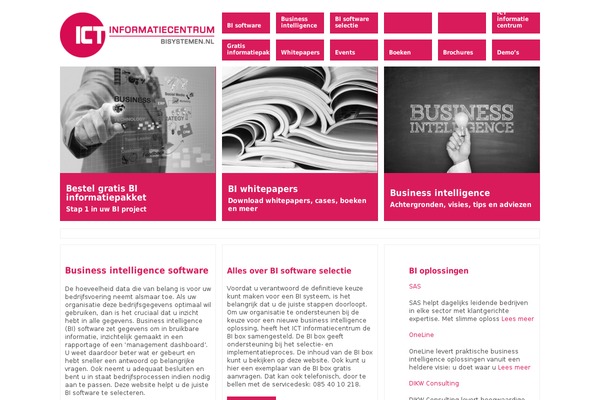 bisystemen.nl site used Ictic