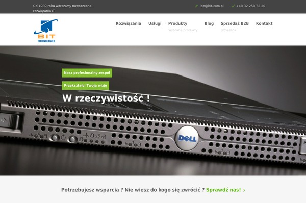 Bigwig theme site design template sample
