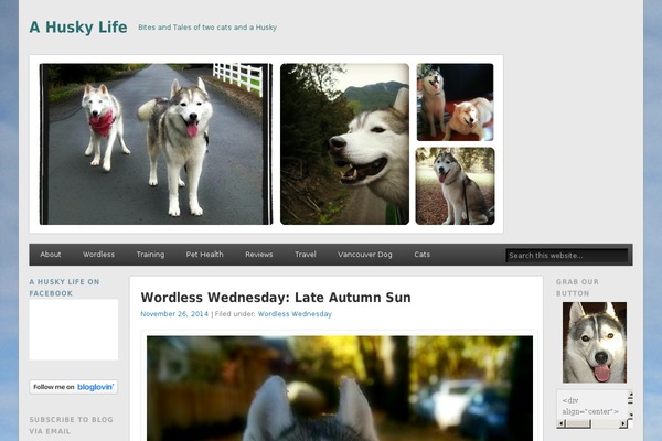 Lifestyle Pro theme site design template sample