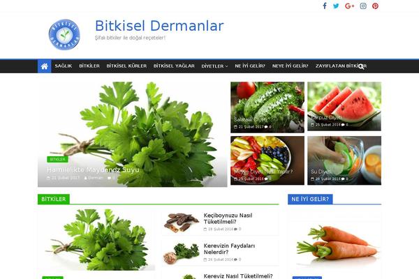 ColorMag theme site design template sample