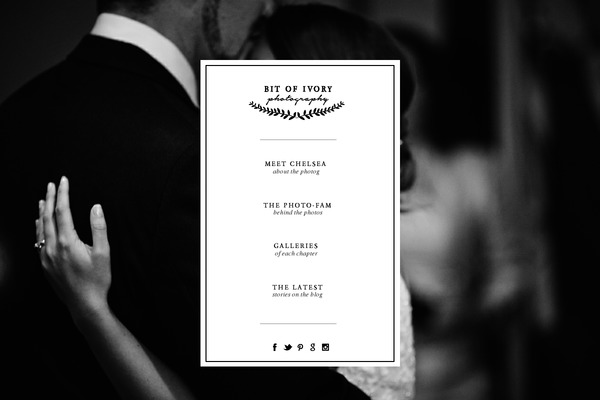 ProPhoto 5 theme site design template sample