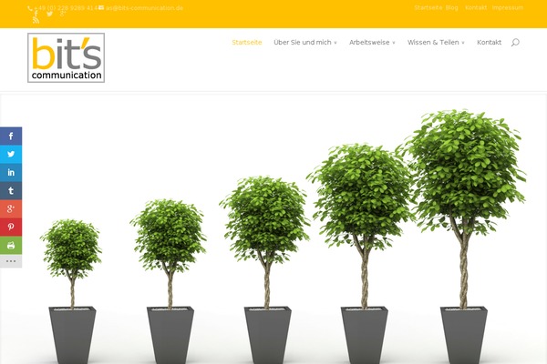 consultant-child-theme WordPress theme, websites list used consultant-child-theme theme consultant-child-theme theme websites examples