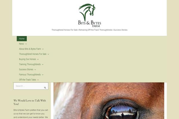 Site using Wp-my-instagram plugin