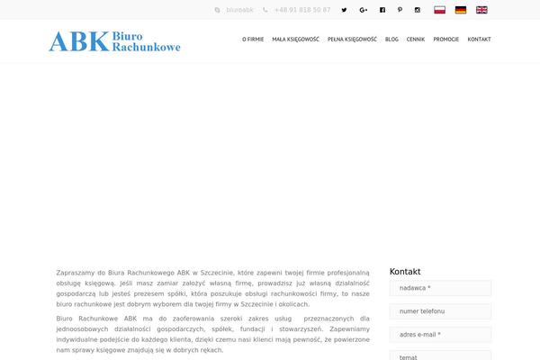 Accounting-child theme site design template sample