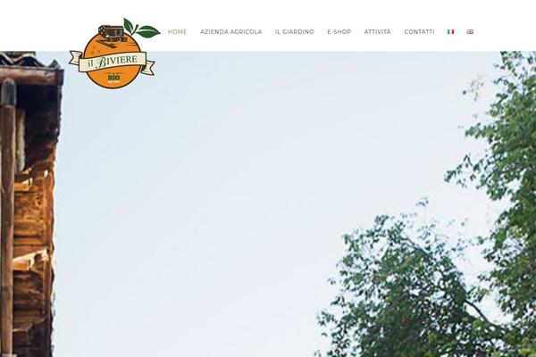 Bridge Child theme site design template sample