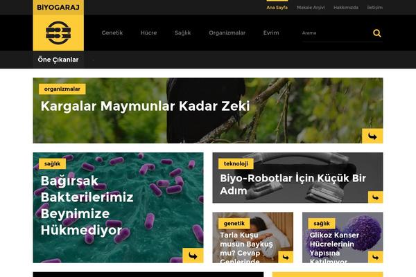 biyogaraj.com site used Mzine