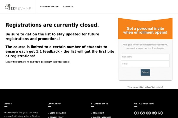 Willow theme site design template sample