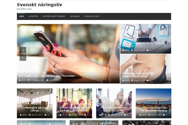 eMag theme site design template sample
