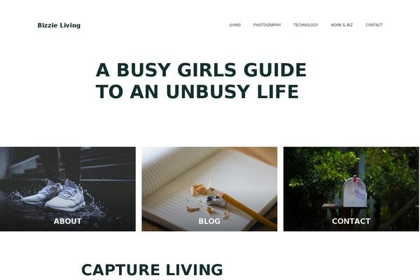 Site using Instagram Widget by WPZOOM plugin
