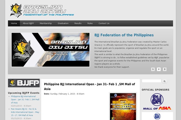 Site using PDF Embedder plugin