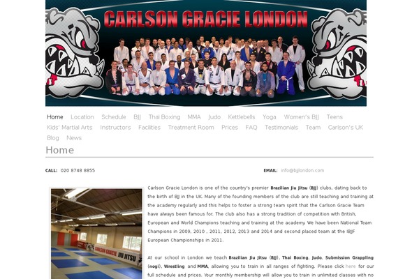 Blass2 theme site design template sample