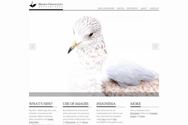 Albedo theme site design template sample