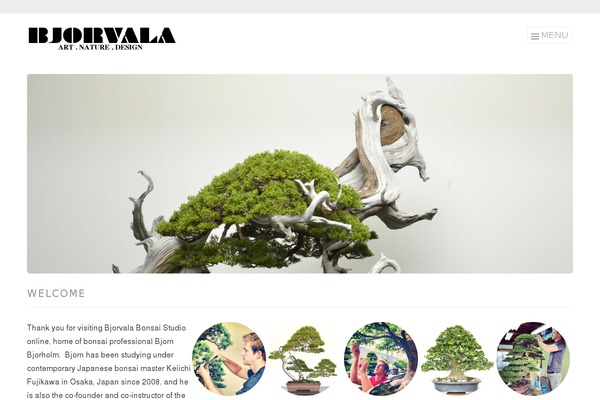 Virtue Premium theme site design template sample