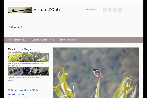 Pinboard theme site design template sample