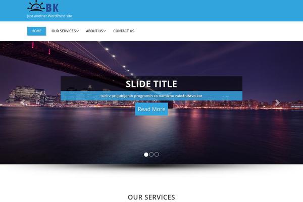 Enigma theme site design template sample