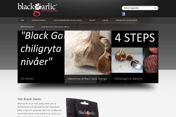 Showtime 3.3 theme site design template sample