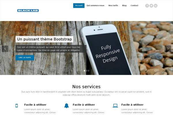Site using Mesmerize-companion plugin