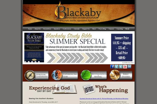 bmi theme websites examples