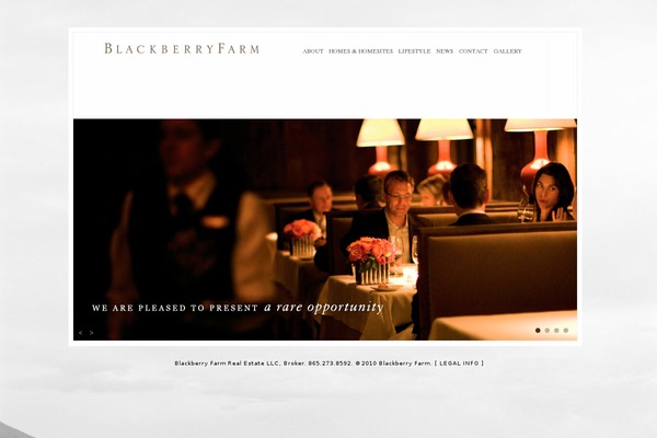 Custom theme site design template sample