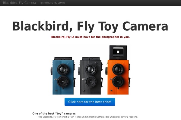 blackbirdflycamera.com site used Bootstrapwp-87
