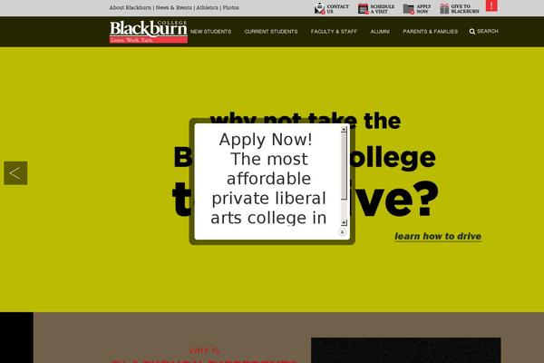 blackburn theme websites examples