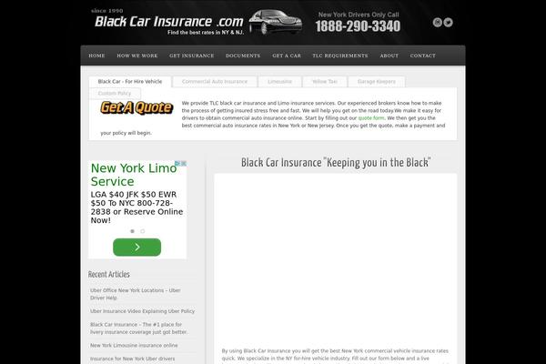 Alyeska theme site design template sample