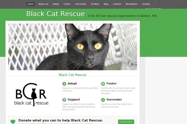 Advocate theme site design template sample