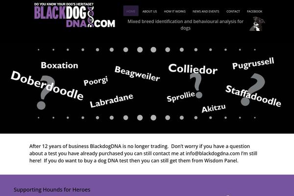 Total Child theme site design template sample