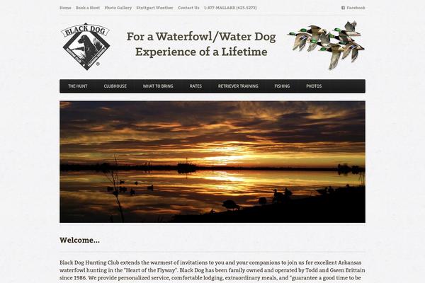 Chronicles theme site design template sample