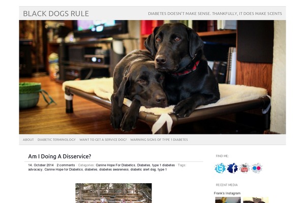 picolight theme site design template sample