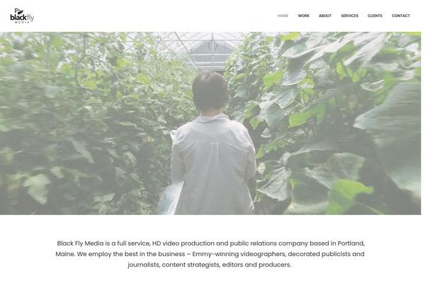 Site using Uncode-daves-wordpress-live-search plugin