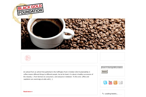 blackgold WordPress theme, websites list used blackgold theme blackgold theme websites examples