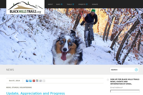 Fizz theme site design template sample