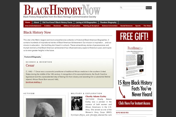Branfordmagazine Pro theme site design template sample