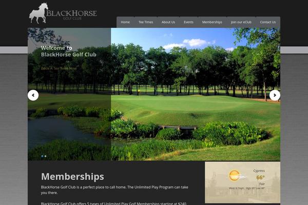 Gen theme site design template sample