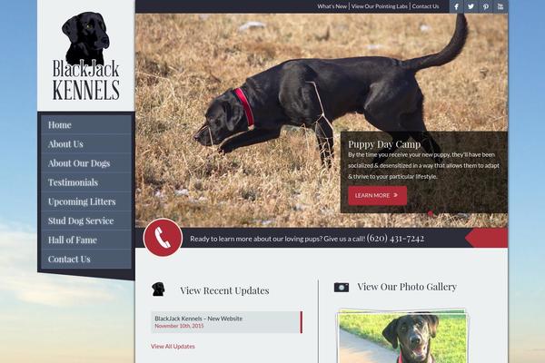 blackjackkennels.com site used Blackjack