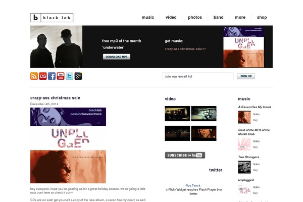 blacklab theme websites examples
