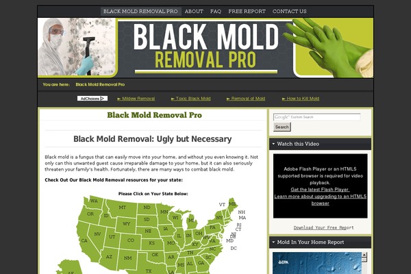 FlexSqueeze theme site design template sample