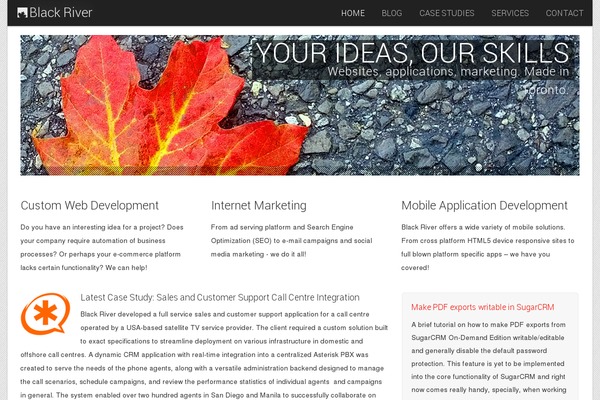 WordPress website example screenshot