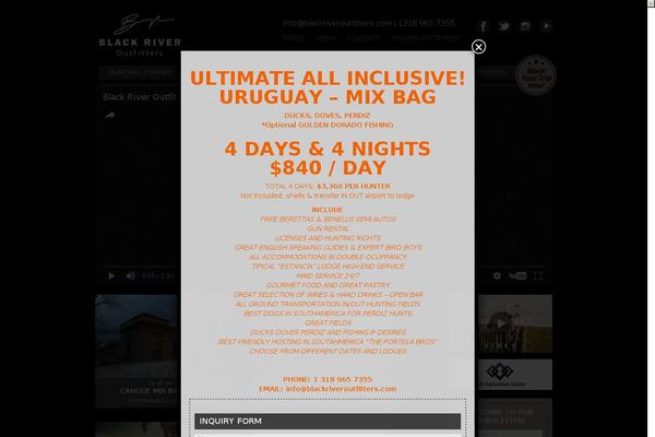 Nany theme site design template sample