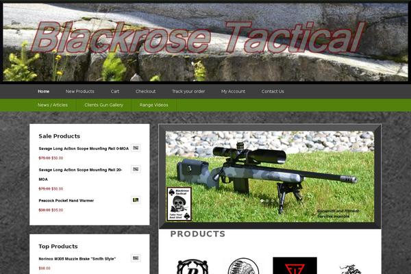 Catch Evolution Pro theme site design template sample